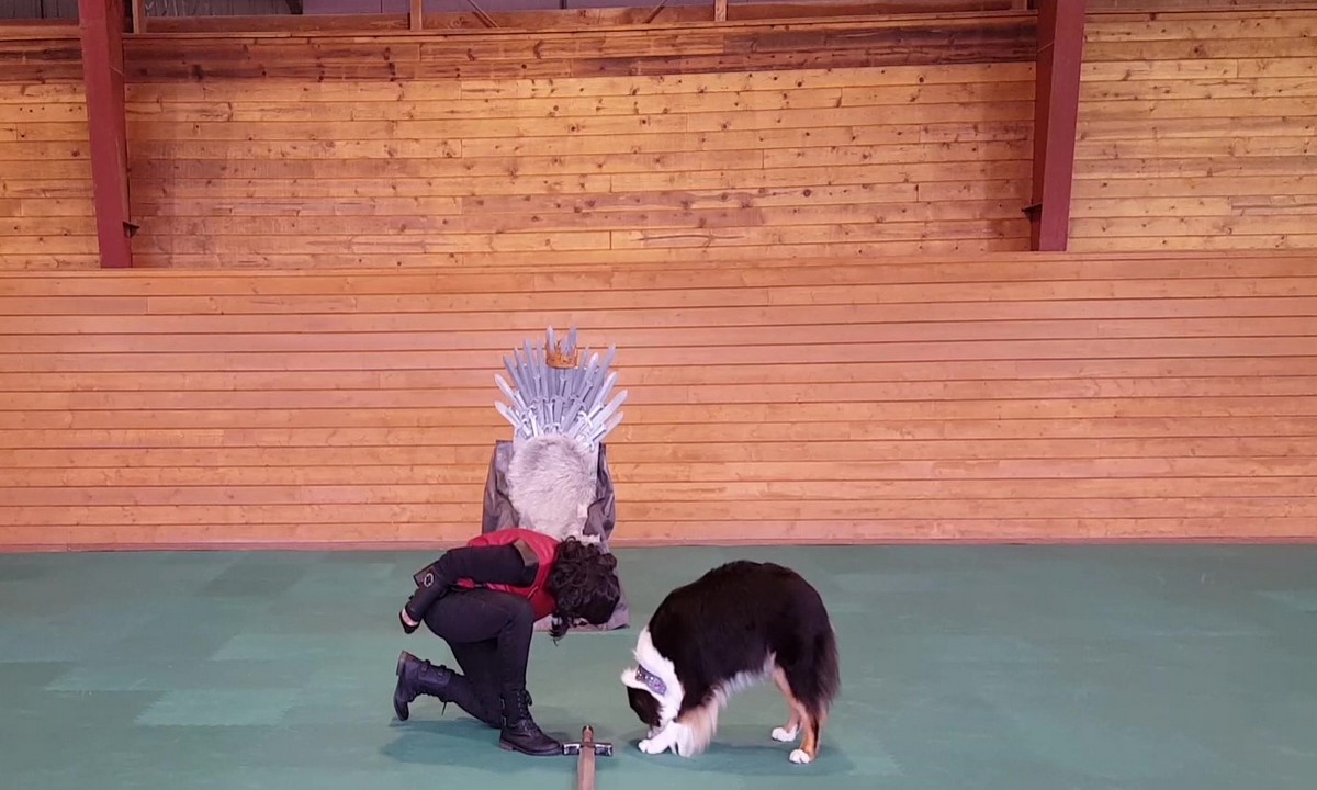 Featured image for “Teaching a Head-Tuck Bow”