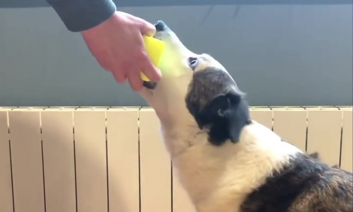 Featured image for “Teach a Hold”