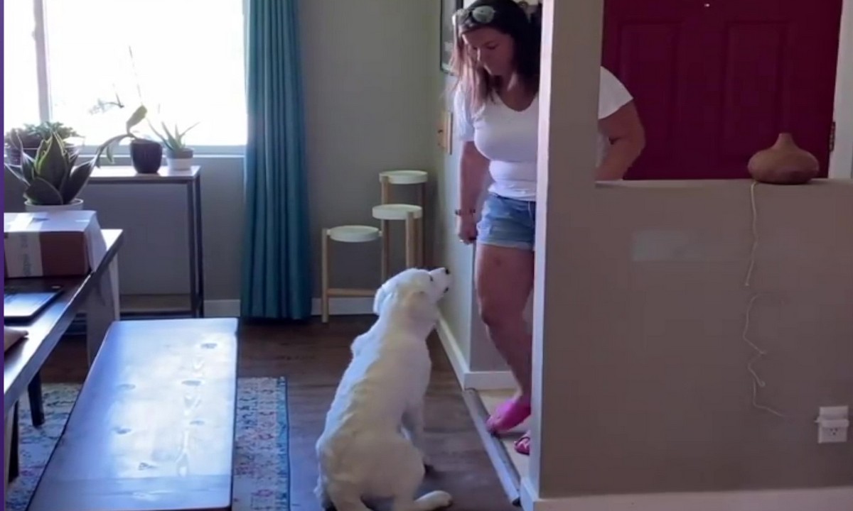 Featured image for “Teach Calm Greetings”