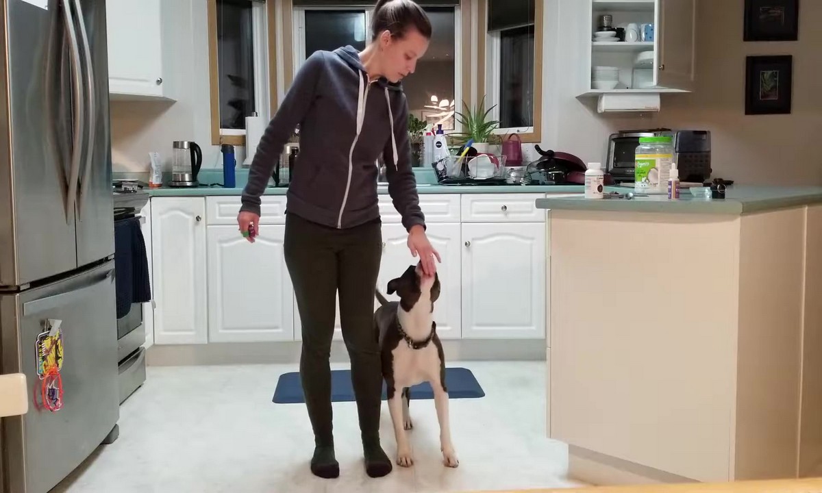 Featured image for “Teach the Heel Position”