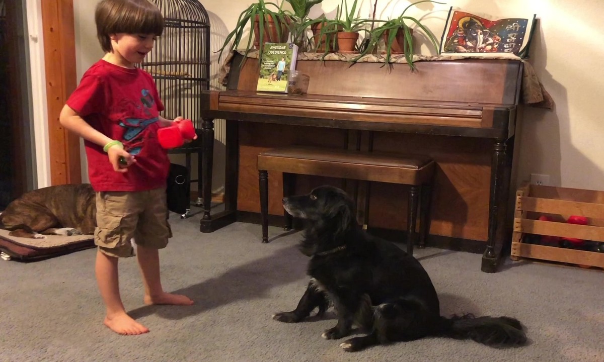 Featured image for “Training is Fun for the Whole Family”