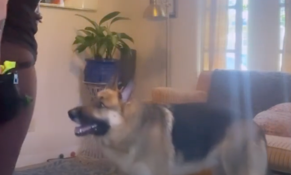 Featured image for “The Art and Joy of Shaping”