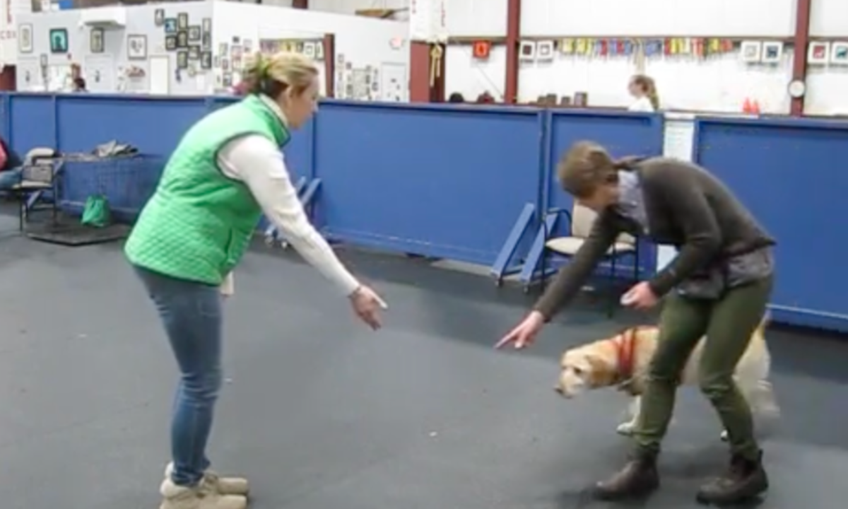 Featured image for “Can I Pet Your Dog? Techniques for Helping Your Shy or Excitable Dog Greet Strangers”