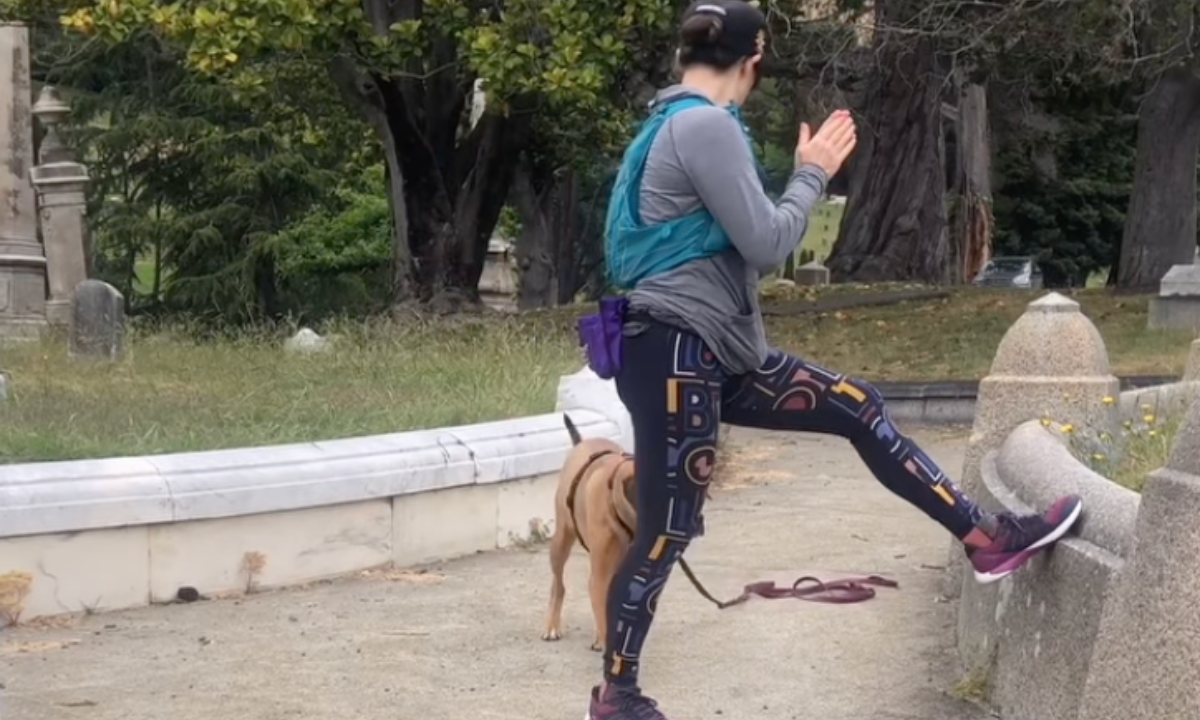 Featured image for “Clapping as a Secondary Reinforcer”