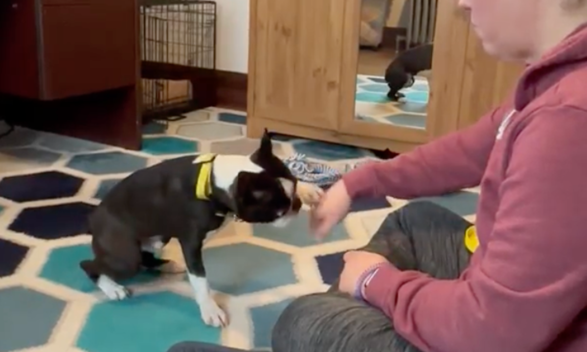 Featured image for “Cool Indoor Games for When the Weather Heats Up: Fist Bump”