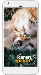 Better Veterinary Visit