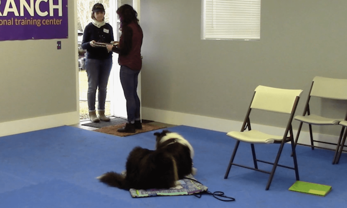 Featured image for “The Pizza Delivery Game”