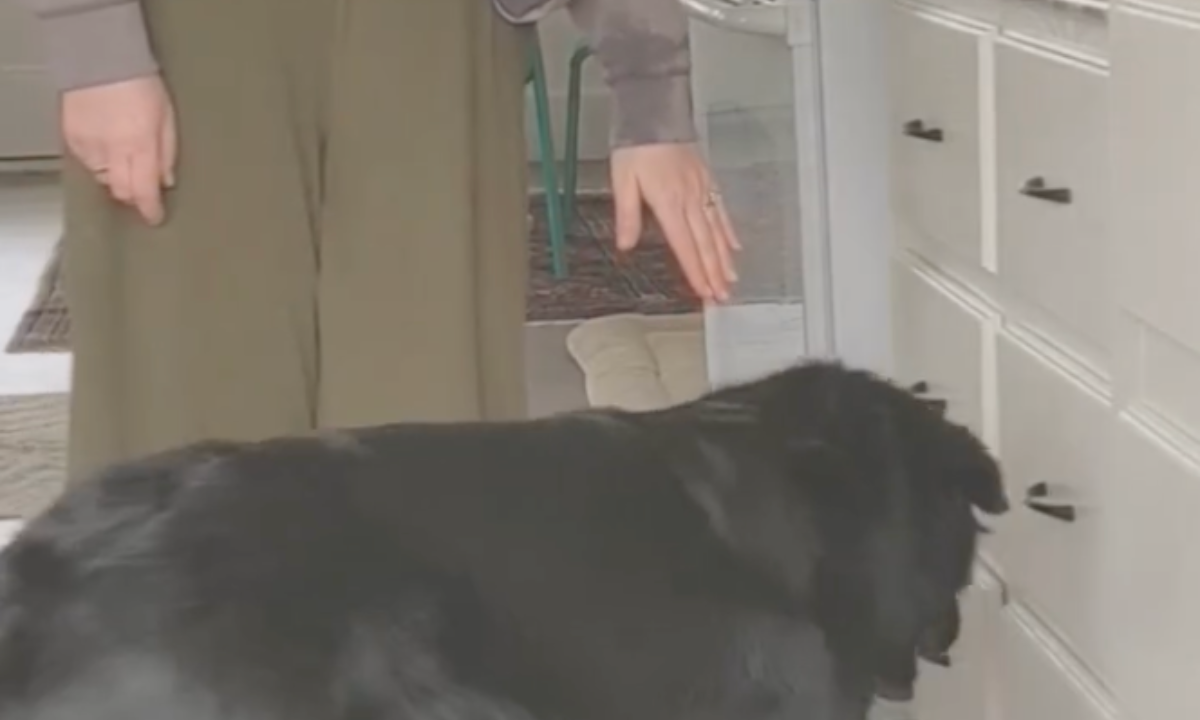 Featured image for “Responding to Errors in Training”