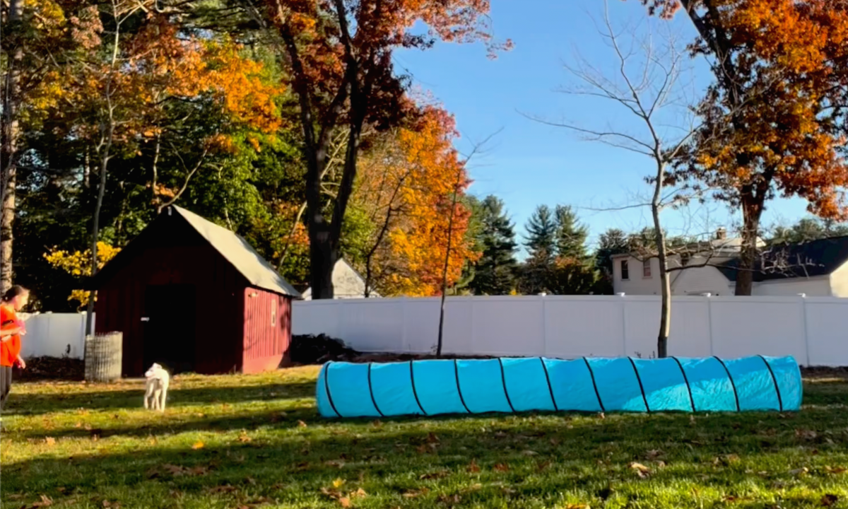 Featured image for “Tunnel Training”