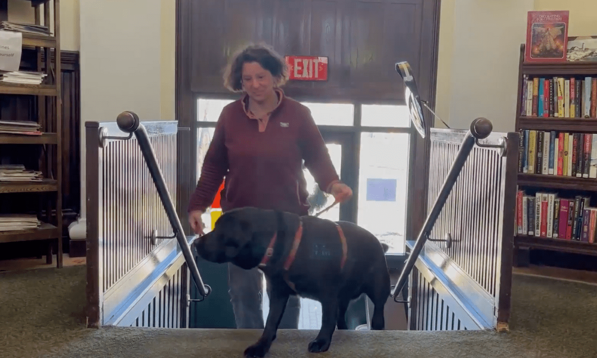 Featured image for “What Is a Therapy Dog?”